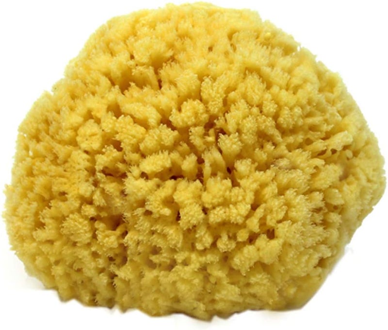 Spa Destinations Natural Sea Sponge - 4-5 inches, Yellow - Image 1